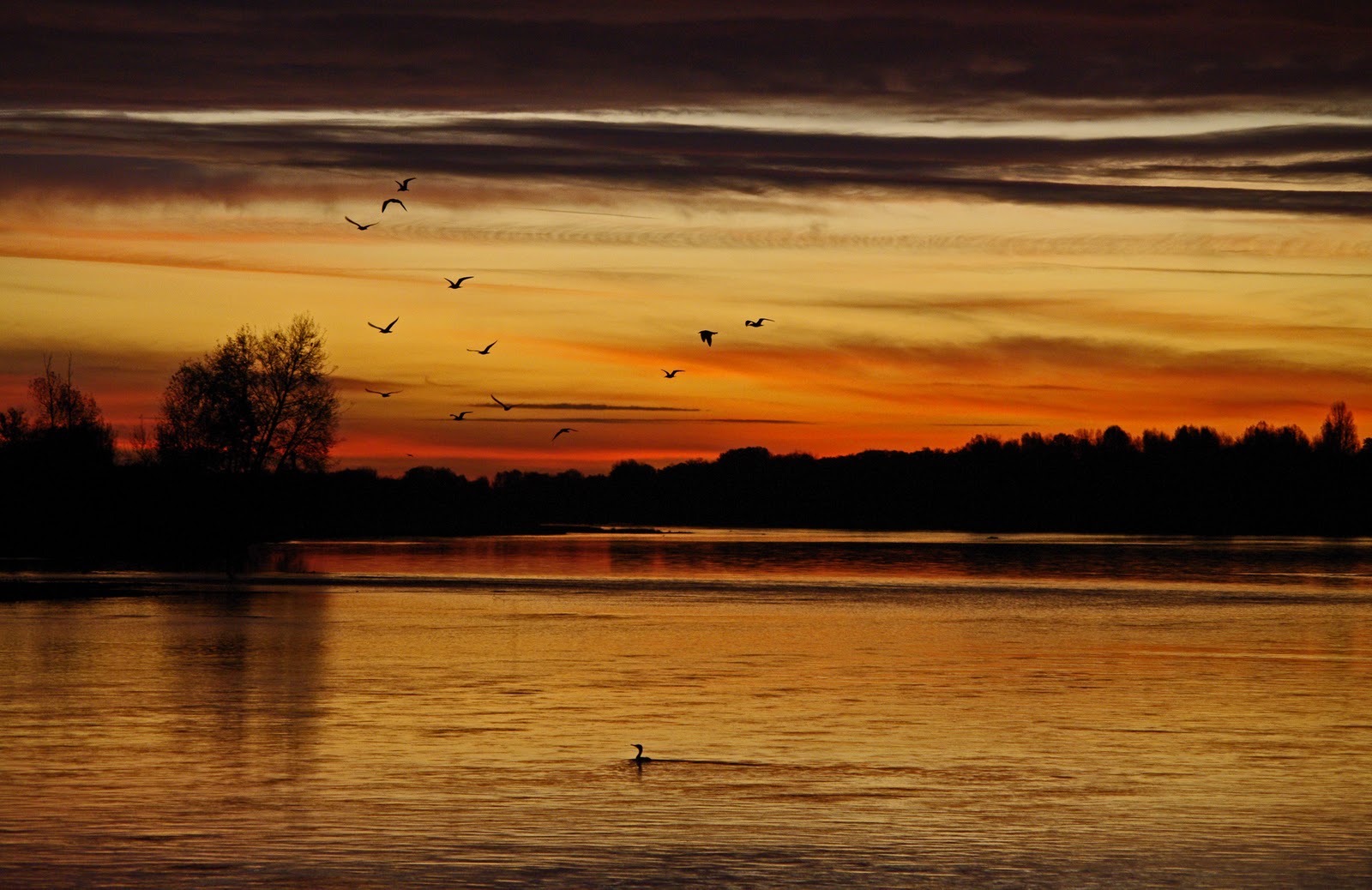 Le sonnet - La Loire (photo de J.M. Sattonnay)