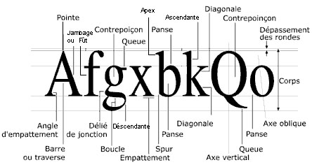 vocabulaire typographie